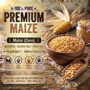 Maize